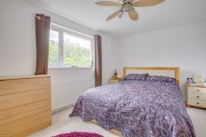 Photo 11- click for photo gallery